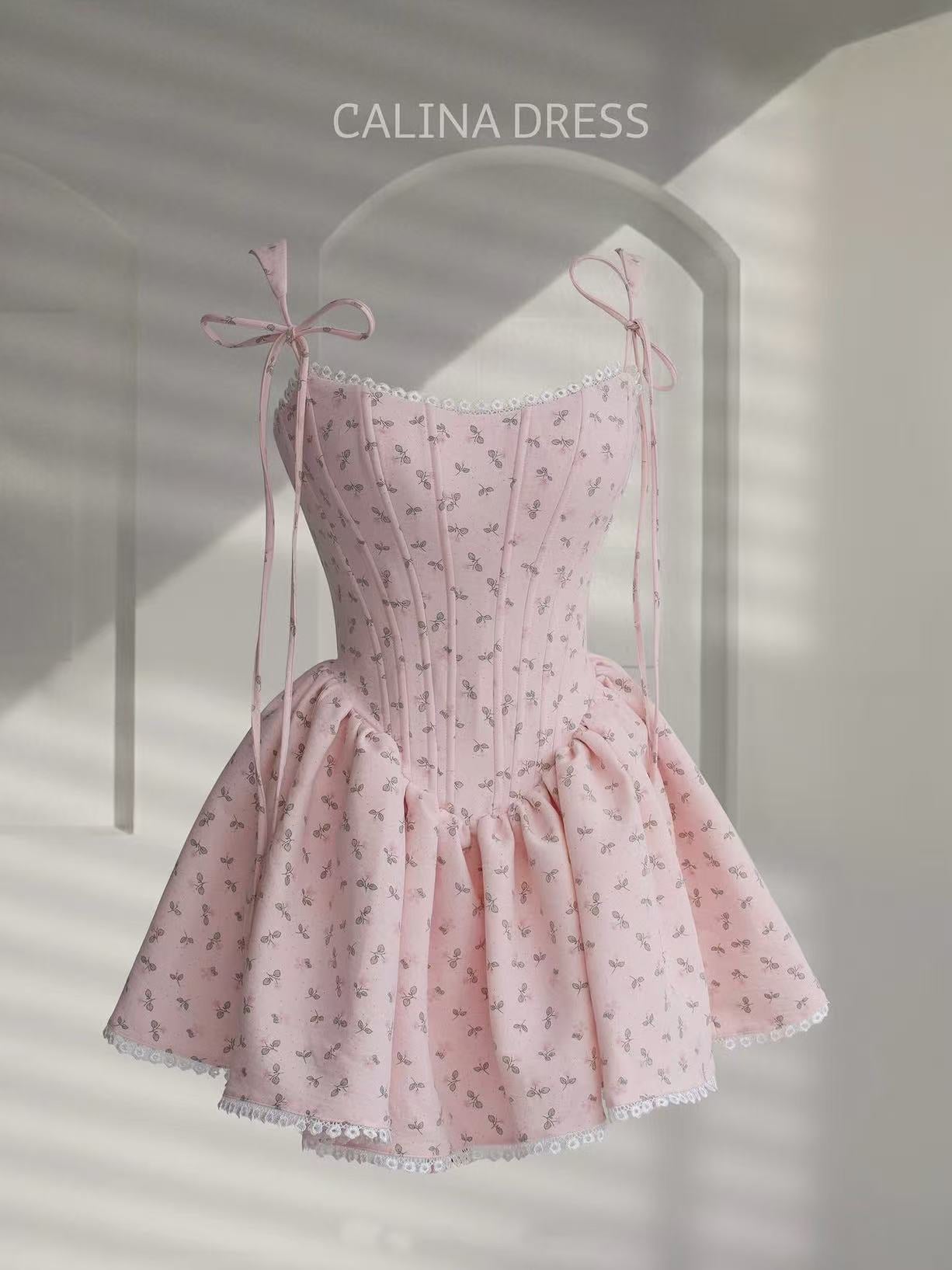Céci Calina Corset Mini Dress