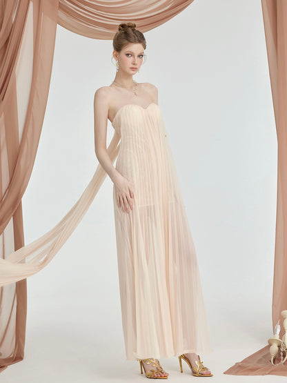 Thea Mesh Strapless Backless Maxi Dress