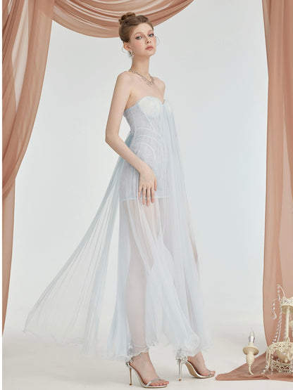 Thea Mesh Strapless Backless Maxi Dress