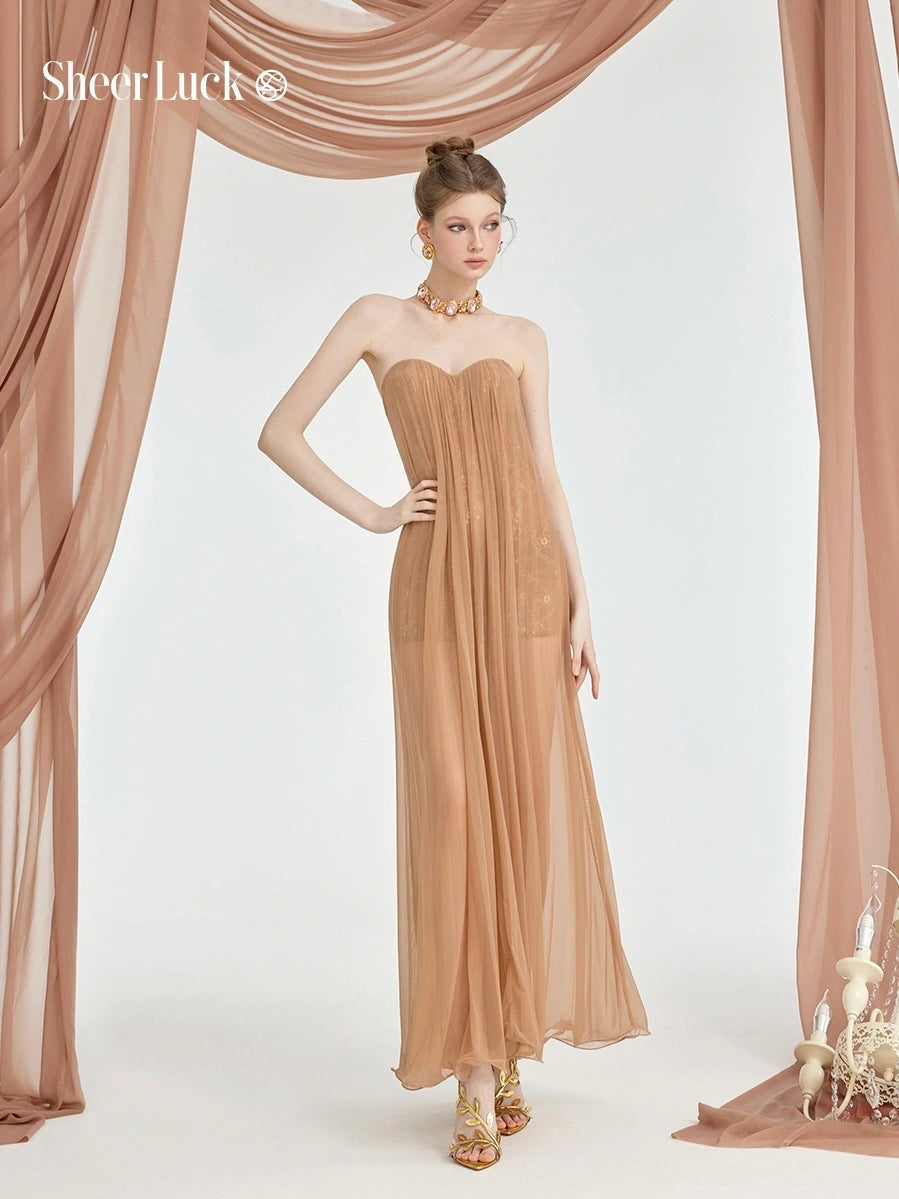 Thea Mesh Strapless Backless Maxi Dress