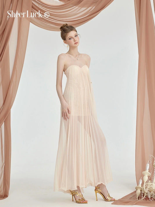 Thea Mesh Strapless Backless Maxi Dress