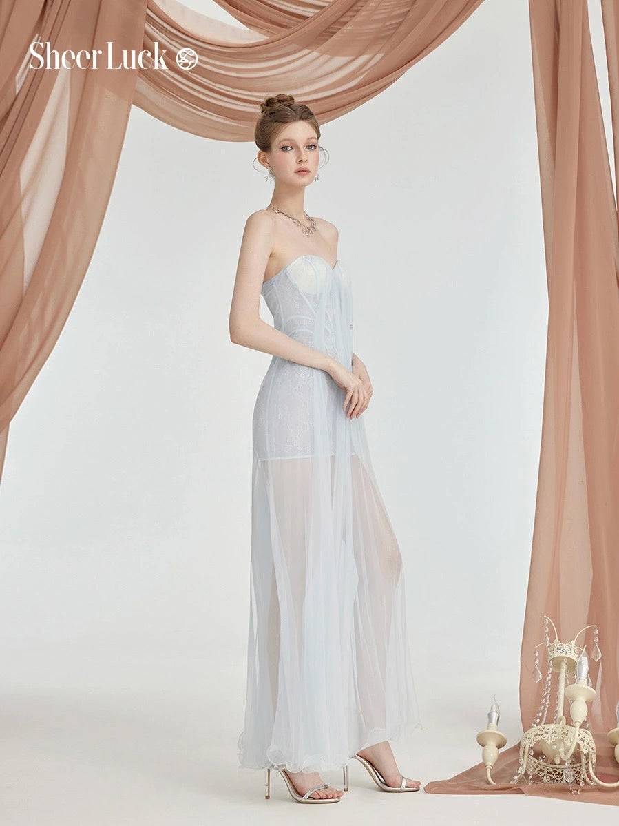 Thea Mesh Strapless Backless Maxi Dress