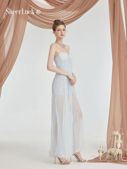 Thea Mesh Strapless Backless Maxi Dress